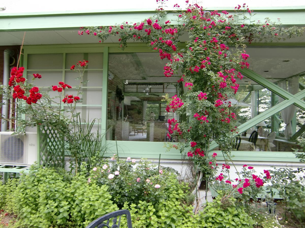 Hale Makawao Bed and Breakfast Daisen  Exteriör bild