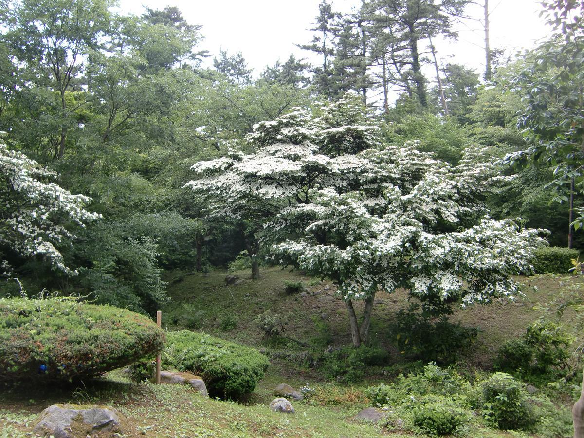 Hale Makawao Bed and Breakfast Daisen  Exteriör bild